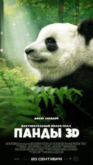 Постер к фильму Панды 3D смотреть онлайн на HD Rezka