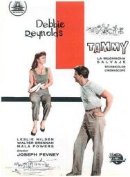 Постер к фильму Тэмми и холостяк смотреть онлайн на HD Rezka