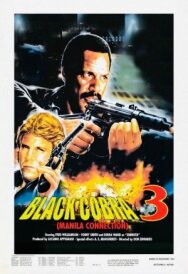 Постер к фильму Черная кобра 3: Манильский связной смотреть онлайн на HD Rezka