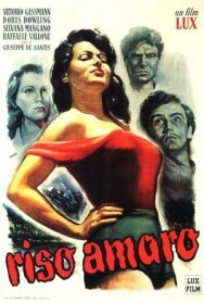 Постер к фильму Горький рис смотреть онлайн на HD Rezka