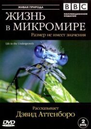 Постер к фильму BBC: Жизнь в микромире смотреть онлайн на HD Rezka