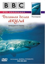 Постер к фильму BBC: Большая белая акула смотреть онлайн на HD Rezka