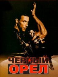 Постер к фильму Черный орел смотреть онлайн на HD Rezka