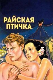 Постер к фильму Райская птичка смотреть онлайн на HD Rezka