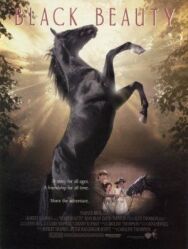Постер к фильму Черный красавец смотреть онлайн на HD Rezka