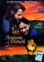 Постер к фильму Летите домой смотреть онлайн на HD Rezka