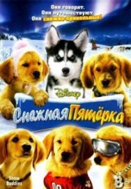 Постер к фильму Снежная пятерка смотреть онлайн на HD Rezka
