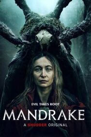 Постер к фильму Мандрагора смотреть онлайн на HD Rezka