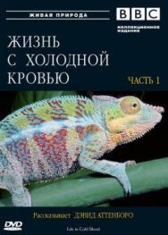 Постер к фильму BBC: Жизнь с холодной кровью смотреть онлайн на HD Rezka