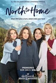 Постер к фильму Домой на север смотреть онлайн на HD Rezka