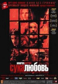 Постер к фильму Сука-любовь смотреть онлайн на HD Rezka