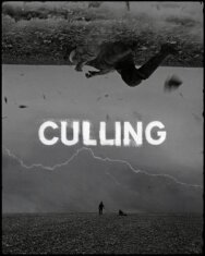 Постер к фильму Culling смотреть онлайн на HD Rezka