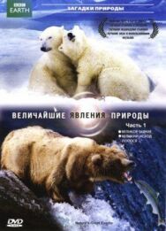 Постер к фильму BBC: Величайшие явления природы смотреть онлайн на HD Rezka