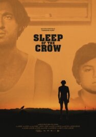 Постер к фильму Сон ворона смотреть онлайн на HD Rezka
