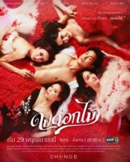 Постер к фильму Желанный цветок смотреть онлайн на HD Rezka