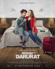 Постер к фильму Аварийная посадка смотреть онлайн на HD Rezka