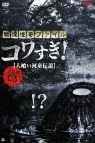 Постер к фильму Ужасающие материалы, файл 3: Легенда о каппе-людоеде смотреть онлайн на HD Rezka