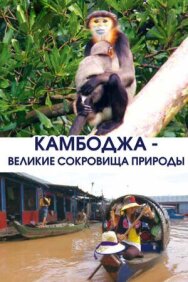 Постер к фильму Камбоджа — великие сокровища природы смотреть онлайн на HD Rezka