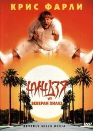 Постер к фильму Ниндзя из Беверли Хиллз смотреть онлайн на HD Rezka