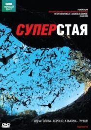 Постер к фильму BBC: Суперстая смотреть онлайн на HD Rezka