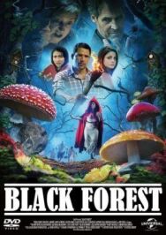 Постер к фильму Черный лес смотреть онлайн на HD Rezka