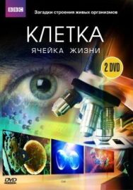 Постер к фильму BBC: Клетка смотреть онлайн на HD Rezka