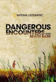 Постер к фильму National Geographic. Опасные встречи смотреть онлайн на HD Rezka