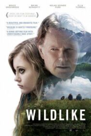 Постер к фильму Дикость смотреть онлайн на HD Rezka