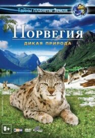 Постер к фильму Норвегия 3D: Дикая природа смотреть онлайн на HD Rezka