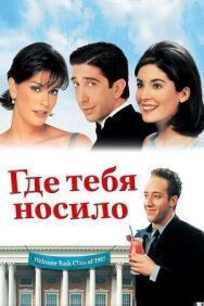 Постер к фильму Где тебя носило смотреть онлайн на HD Rezka
