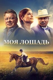Постер к фильму Моя лошадь смотреть онлайн на HD Rezka
