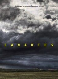 Постер к фильму Канарейки смотреть онлайн на HD Rezka