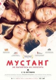 Постер к фильму Мустанг смотреть онлайн на HD Rezka