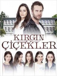 Постер к фильму Обиженные цветы смотреть онлайн на HD Rezka