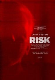 Постер к фильму Риск смотреть онлайн на HD Rezka