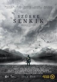 Постер к фильму Серые посланцы смотреть онлайн на HD Rezka